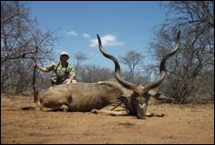 Waterbuck