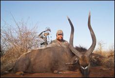 Bushpig
