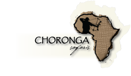 choronga safaris llc
